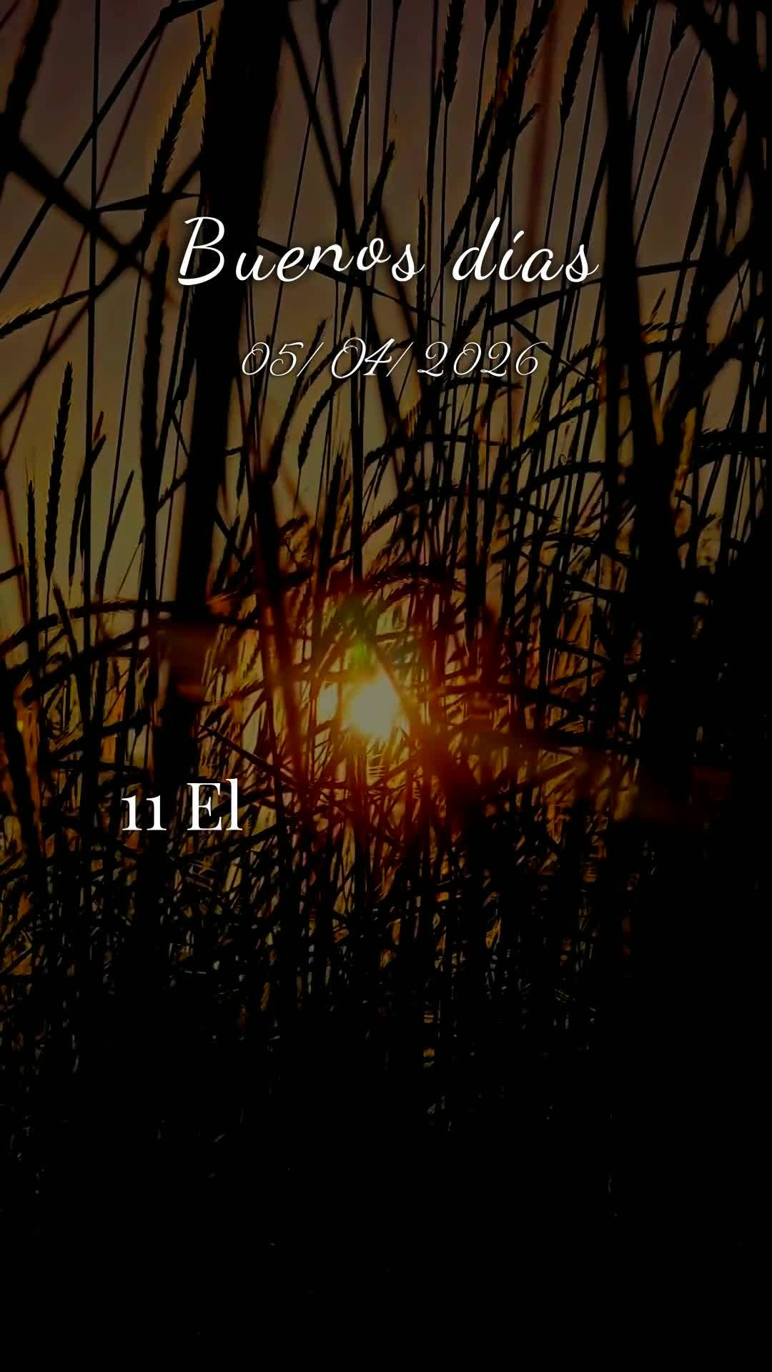 Deus, hoje é Domingo, meu pai, dia cinco de Abril de dois mil e vinte e seis. Bom dia! Antes mesmo que este dia tão sagrado avance, eu paro diante de t...