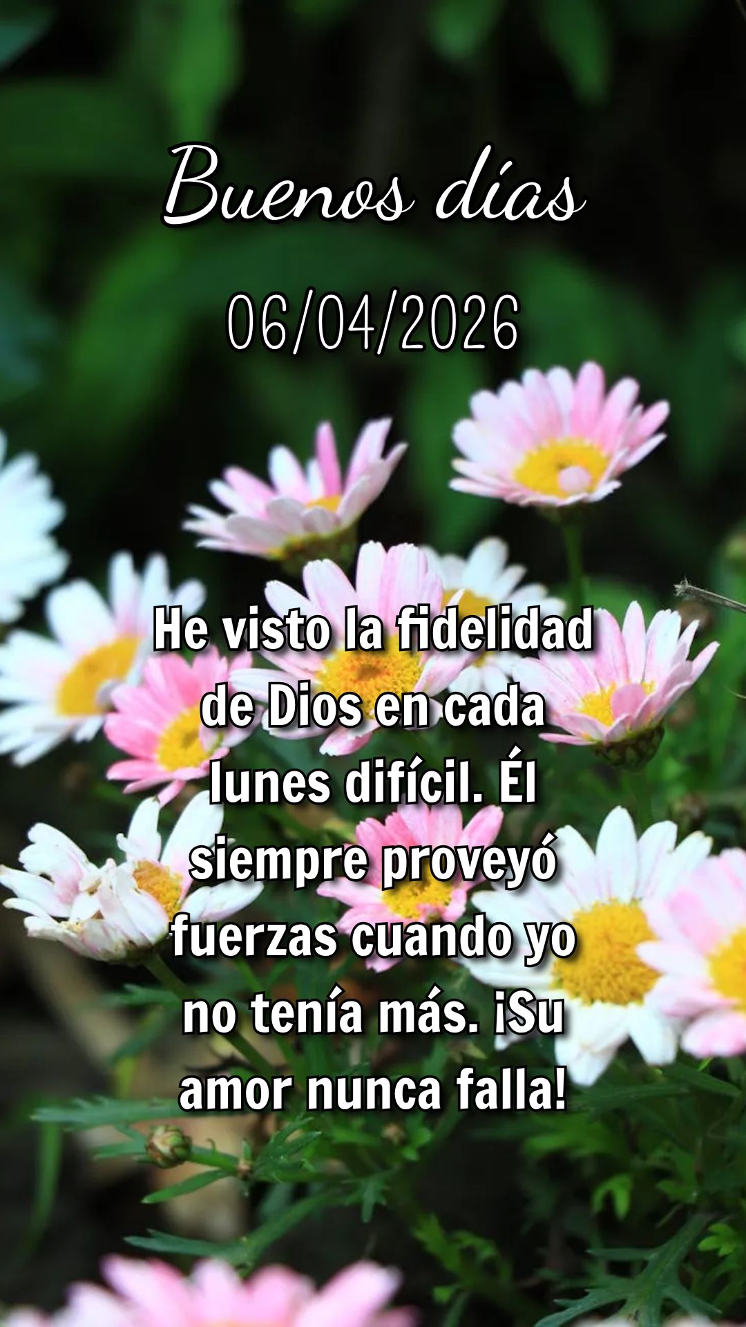 Você não está sozinho nessa semana. Deus vai na sua frente, preparando cada passo. Confie e siga em frente!