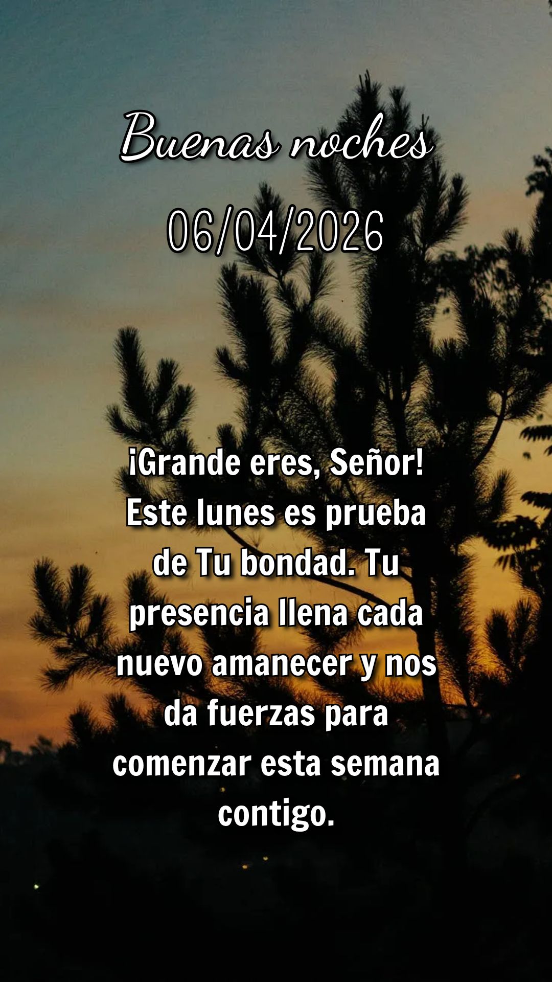 Toda segunda-feira que começo com Deus, percebo que Ele já estava me esperando. Sua fidelidade renova minhas forças para a semana que se inicia.