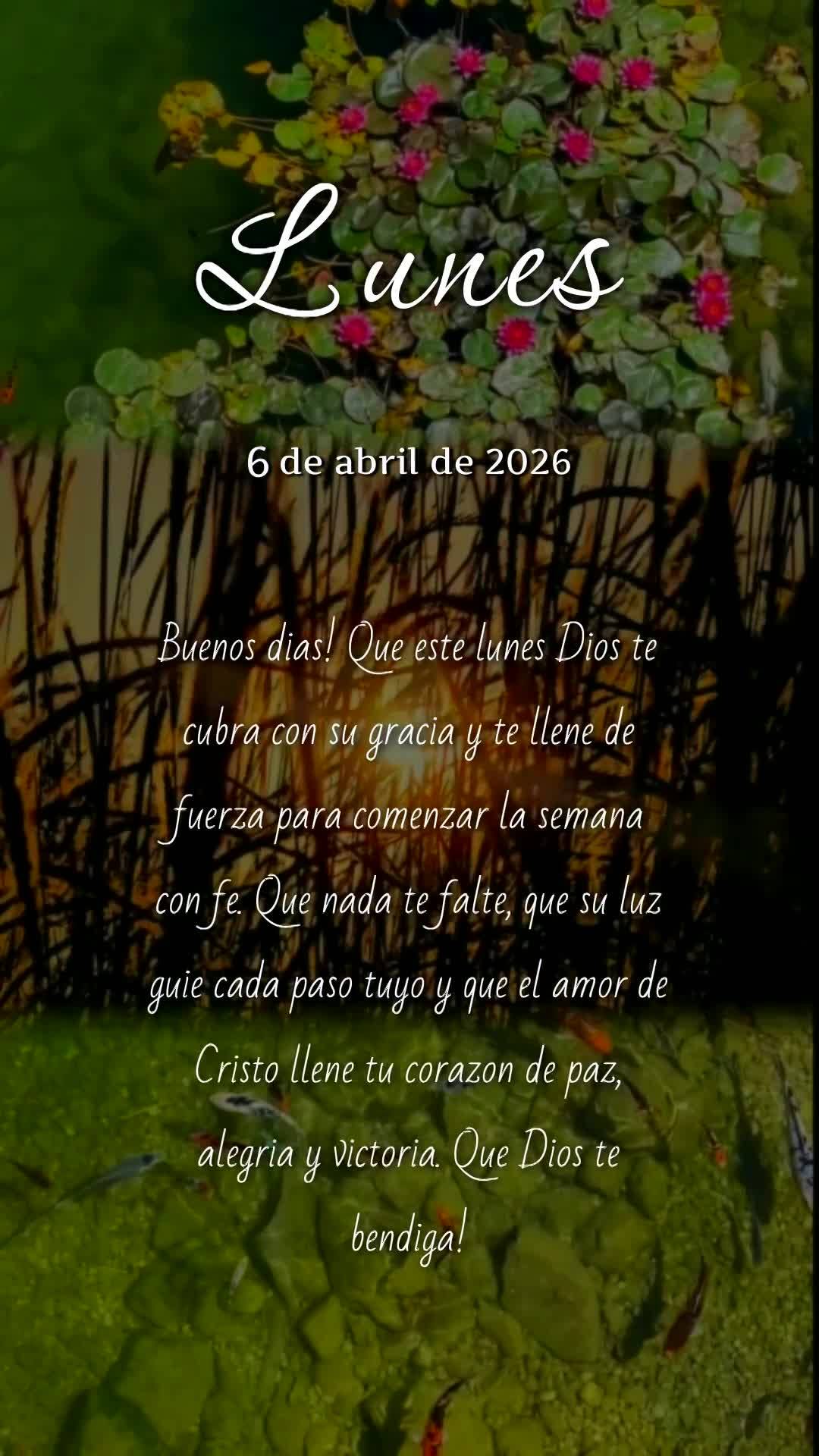 Bom dia! Que nesta segunda-feira Deus te guarde, te cuide e te proteja em cada passo. Que não lhe falte ânimo, força e fé para enfrentar qualquer des...
