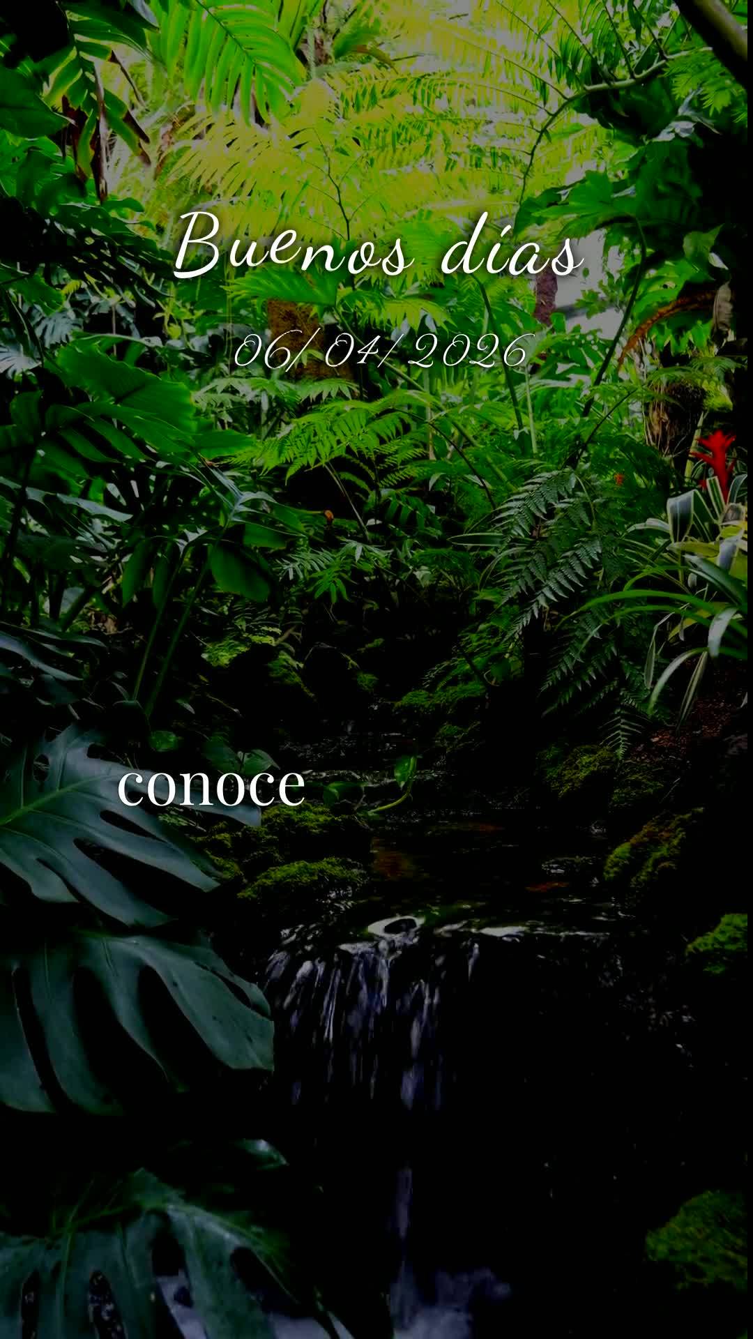 Bom dia! Que segunda-feira abençoada começa hoje, 6 de abril de 2026. Que o céu se abra completamente sobre a sua vida e derrame bênçãos sem medida...