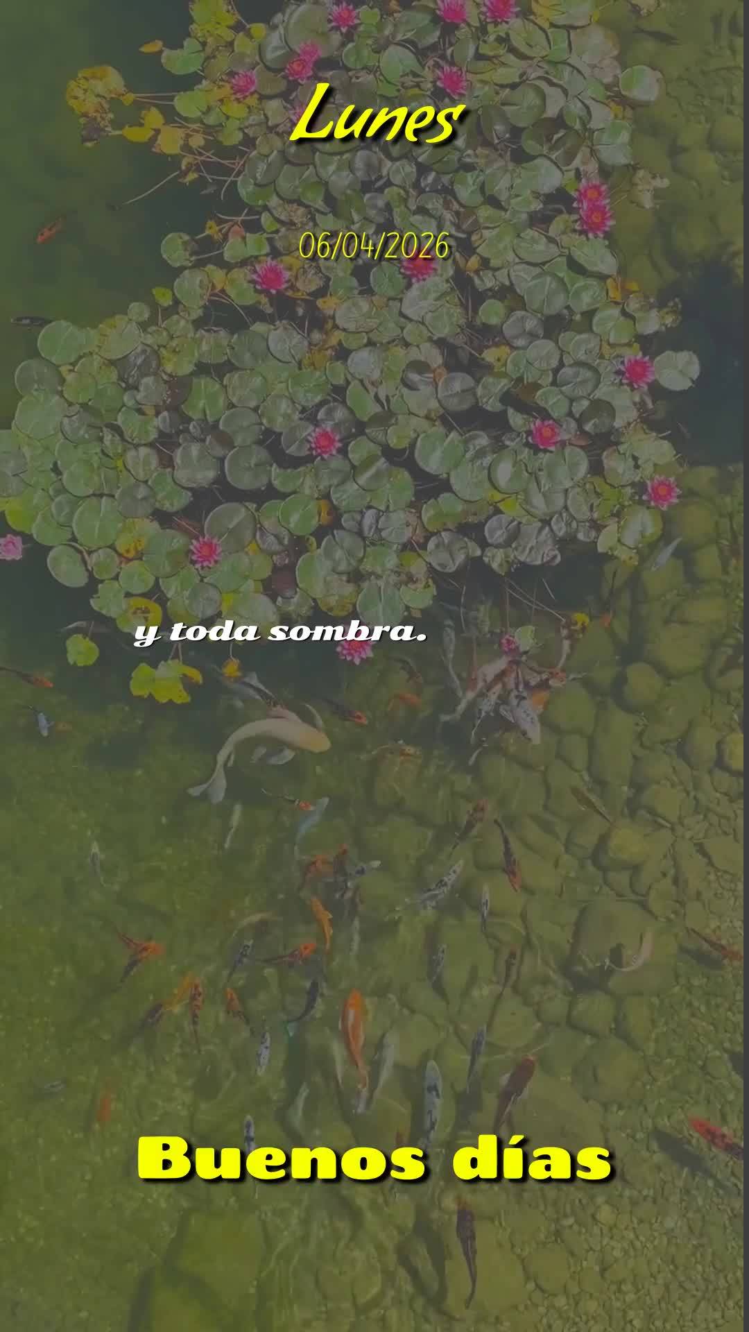 Bom dia! Segunda-feira, 6 de Abril de 2026. A Páscoa ainda ressoa em nosso coração, e o Senhor Ressuscitado caminha contigo neste novo dia! Que Jesus ...