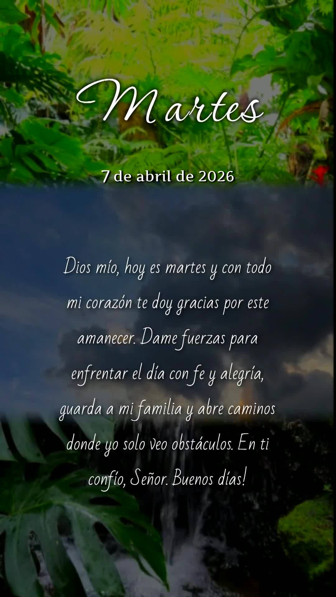 Deus, hoje é terça-feira, meu pai, e antes de dar mais um passo eu paro para te agradecer por este novo dia. Renova minhas forças, acende em mim o ent...