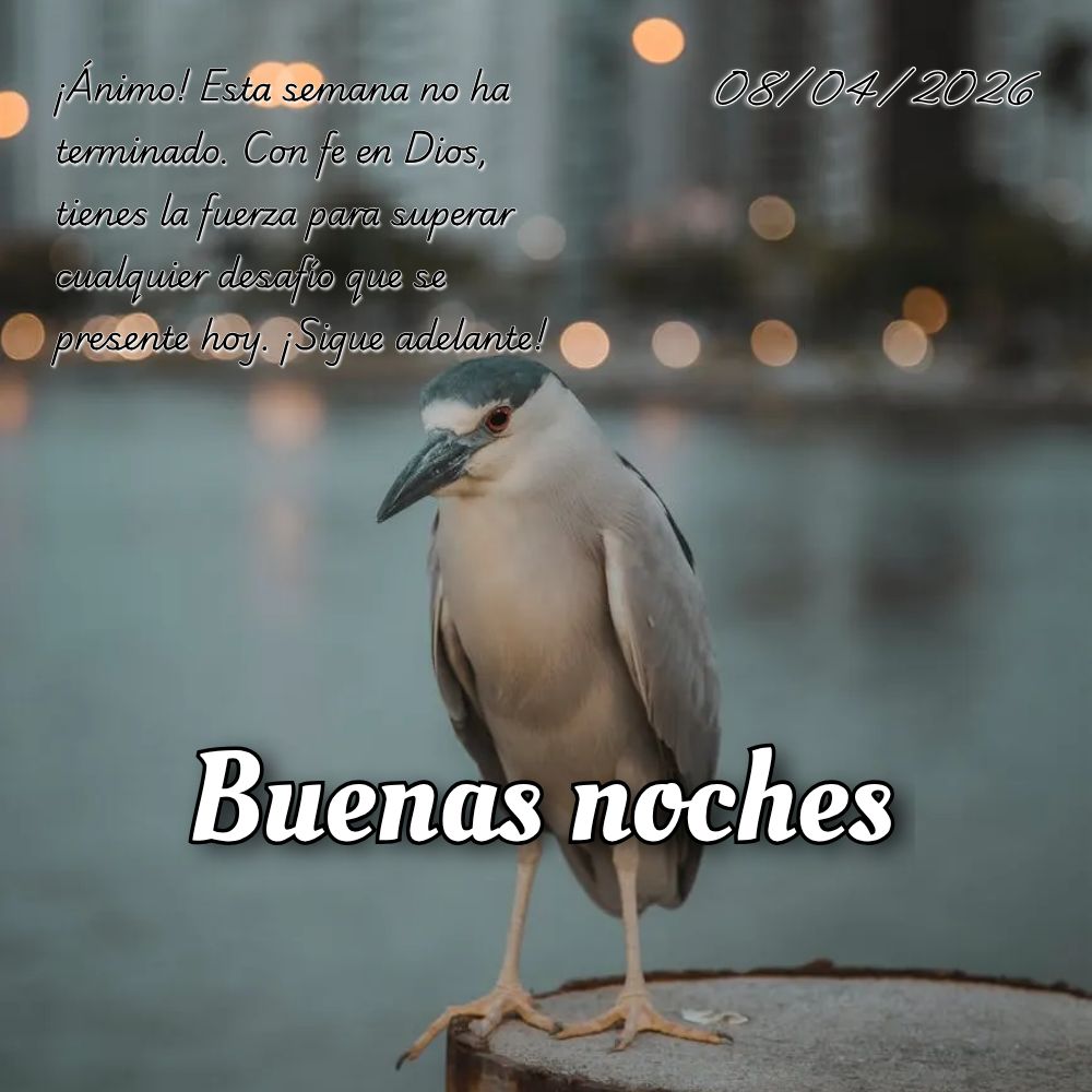 Senhor, nesta quarta-feira, renova minhas forças e guia cada passo meu. Que eu sinta Tua presença em tudo que fizer hoje. Amém.