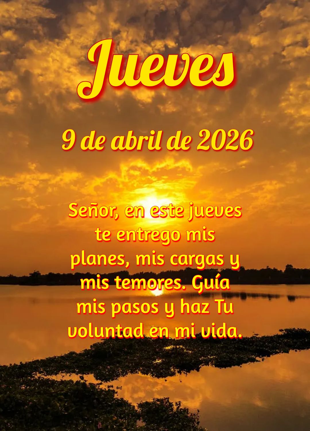 Deus está com você nesta quinta-feira! Levante-se, seja forte e corajoso. Você não está sozinho nessa caminhada.