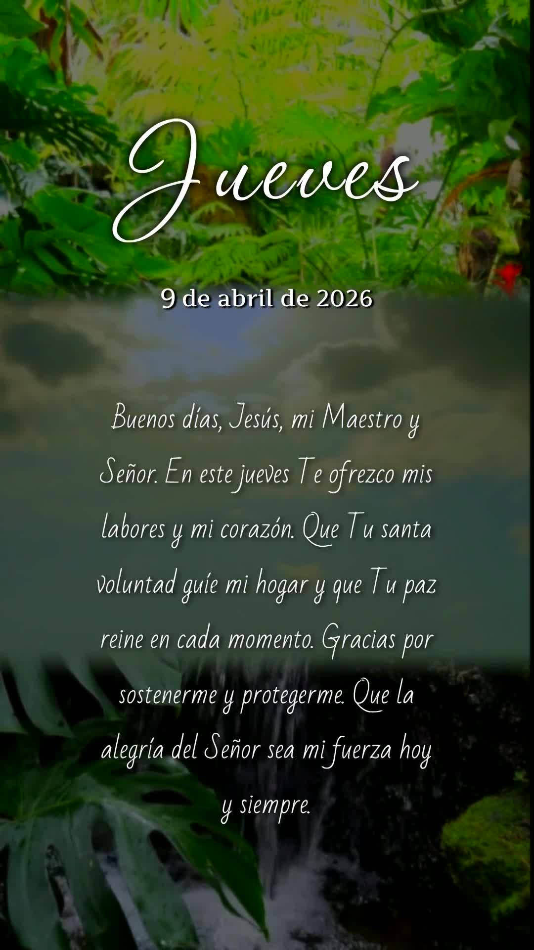 Bom dia, Jesus, meu Mestre e Senhor. Nesta quinta-feira, ofereço-Te todas as minhas ações. Sustenta minha mente com calma e minha alma com fé. Que Tu...