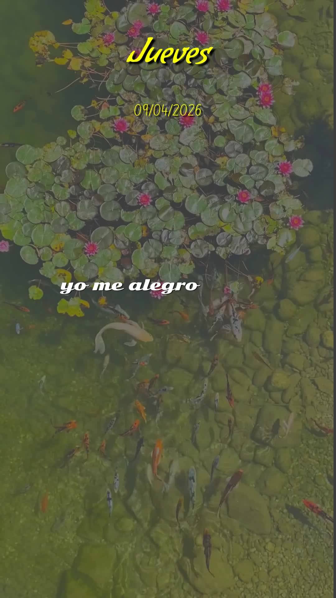 Deus, hoje é quinta-feira, meu pai, dia nove de abril de dois mil e vinte e seis. Bom dia! Antes mesmo que eu dê o primeiro passo deste dia, eu paro e ...