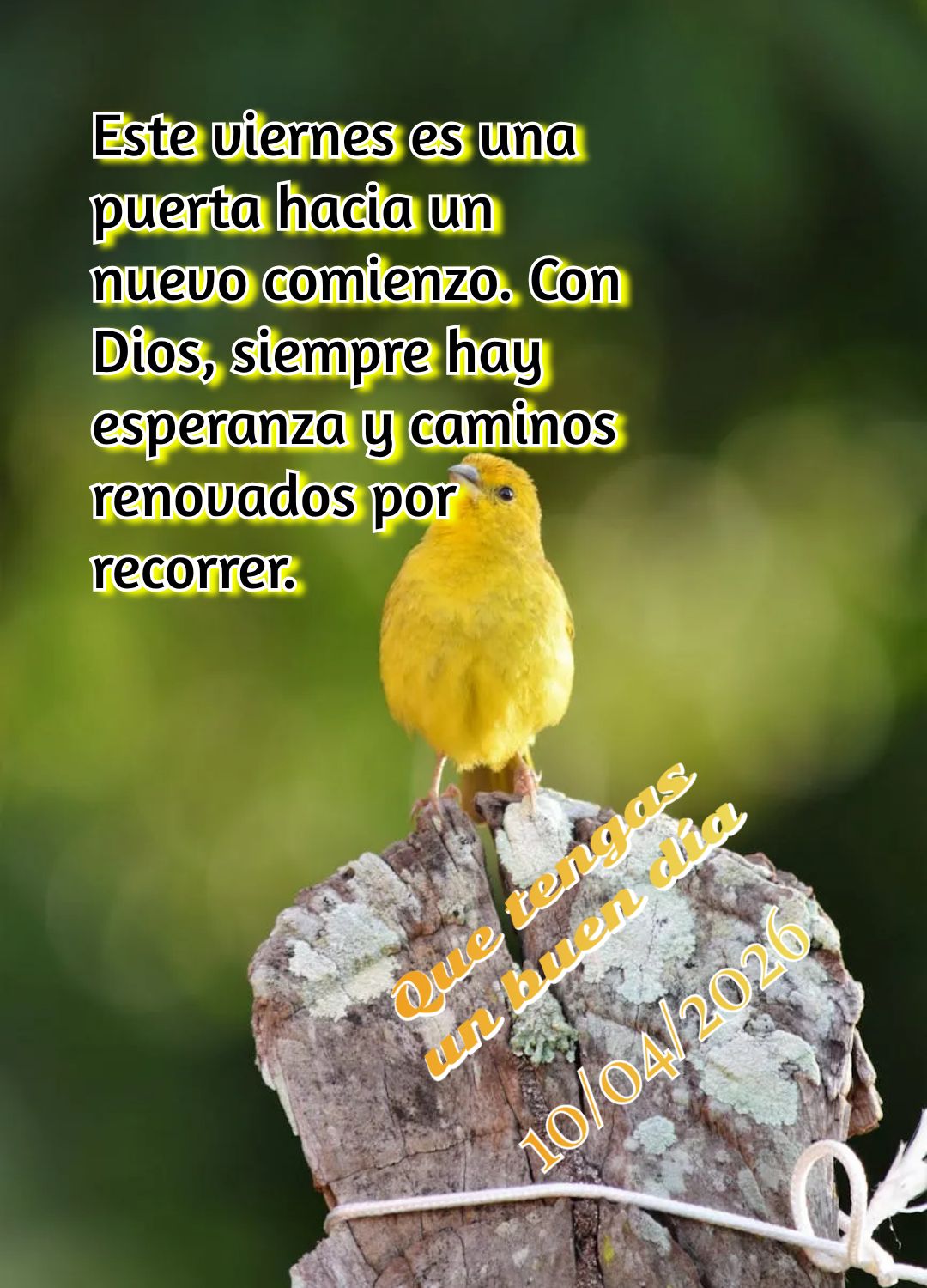 Você chegou até aqui pela graça de Deus. Descanse neste fim de semana sabendo que Ele cuida de você com amor infinito. Tenha um bom dia