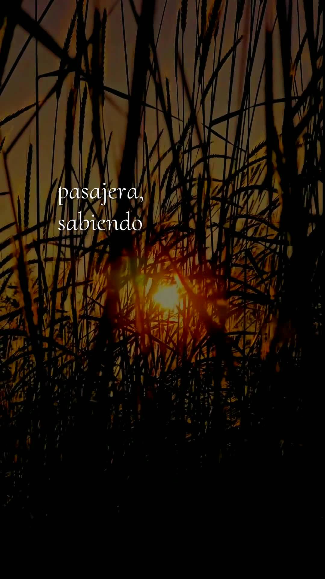 Bom dia, Jesus, meu Mestre e Senhor. Hoje é sexta-feira, 10 de abril de 2026, e meu coração se enche de gratidão por mais uma semana vivida sob o Teu...