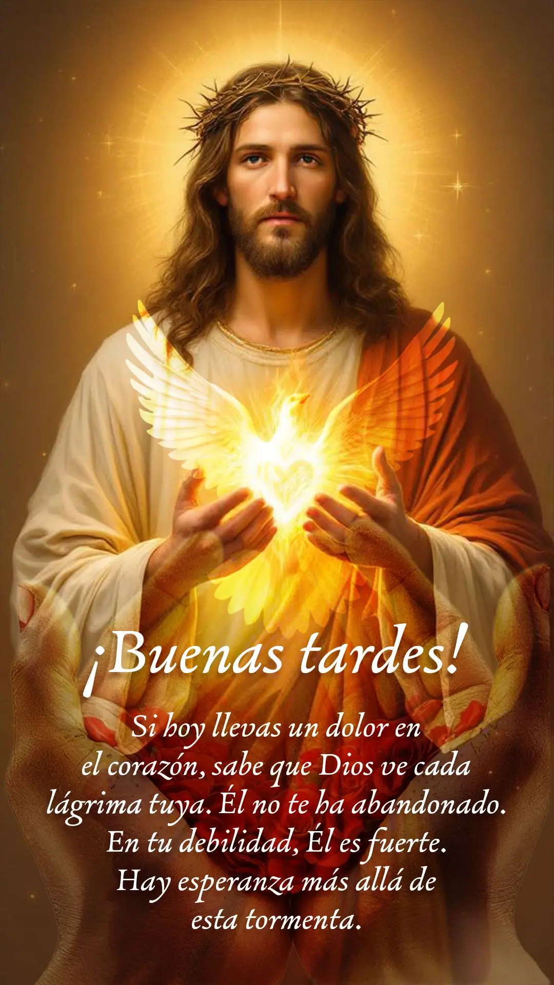 Boa tarde! Se você está carregando uma dor hoje, saiba que Deus vê cada lágrima sua. Ele não abandonou você. Na sua fraqueza, Ele é forte. Há esp...