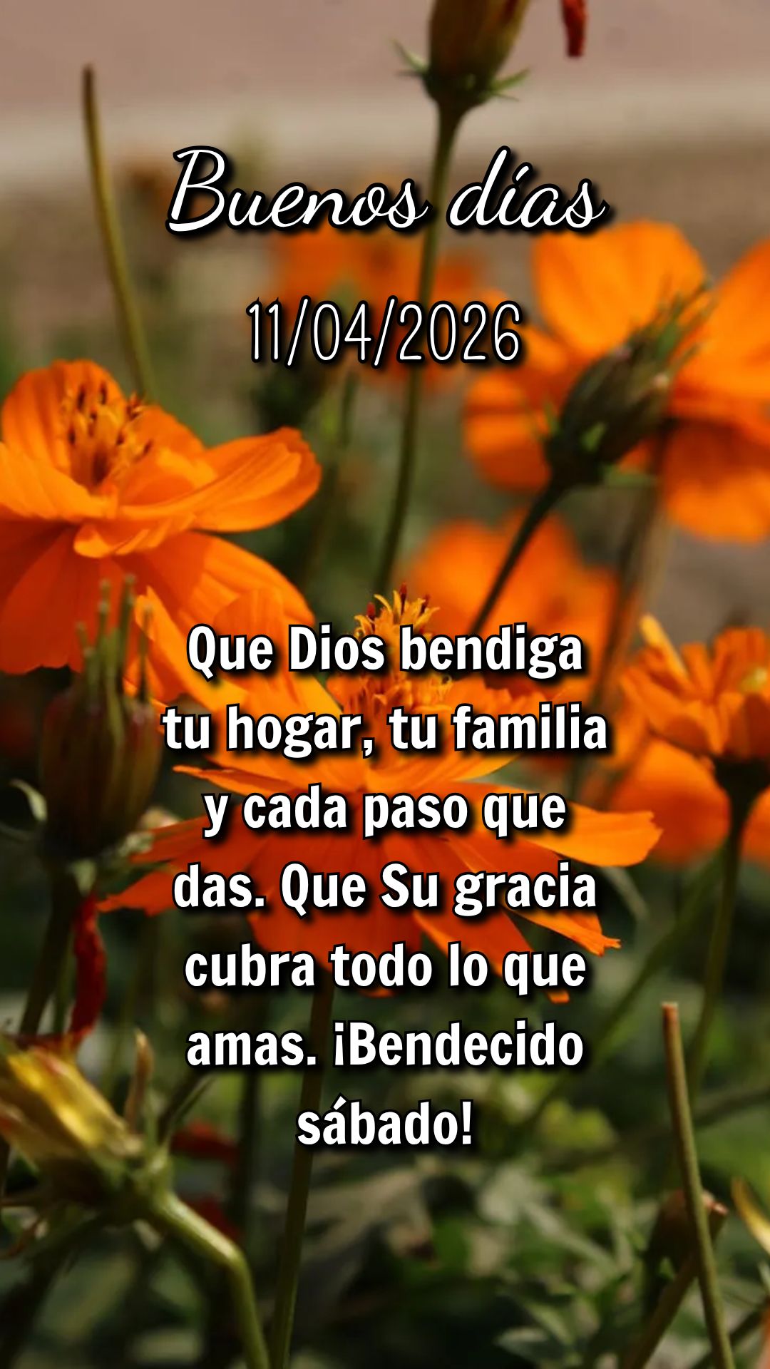 Cada desafio é uma oportunidade para ver Deus agir. Não recue — avance com fé e confie no Senhor!