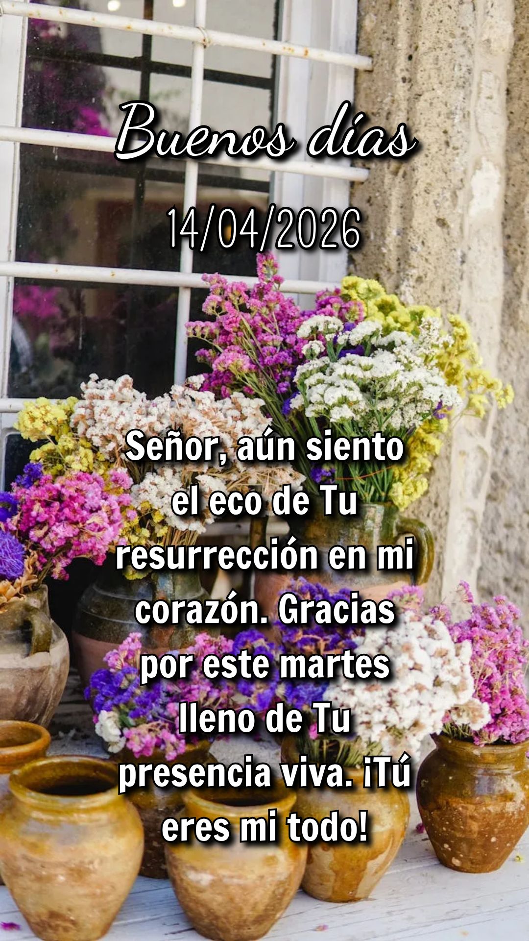 'Ele não está aqui; ressuscitou!' (Lucas 24:6). Cristo venceu a morte e nos deu nova vida. Que essa verdade renove sua fé nesta Terça-feira de Pásco...