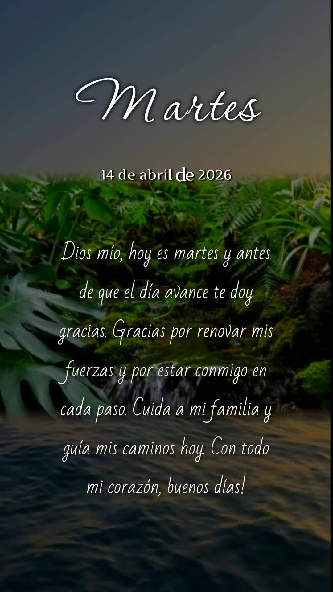 Deus, hoje é terça-feira, meu pai, e antes mesmo de dar meu primeiro passo, eu paro para te agradecer. Obrigado por renovar minhas forças e me dar dis...