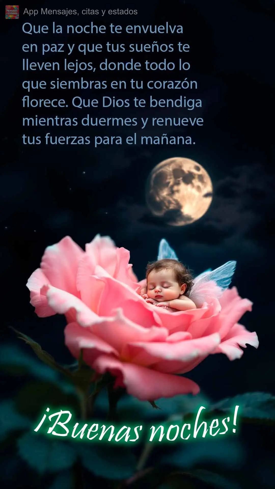 Que a noite te envolva com paz, e os sonhos te levem longe — onde tudo que você planta no coração floresce. Deus te abençoe enquanto dorme e renove...