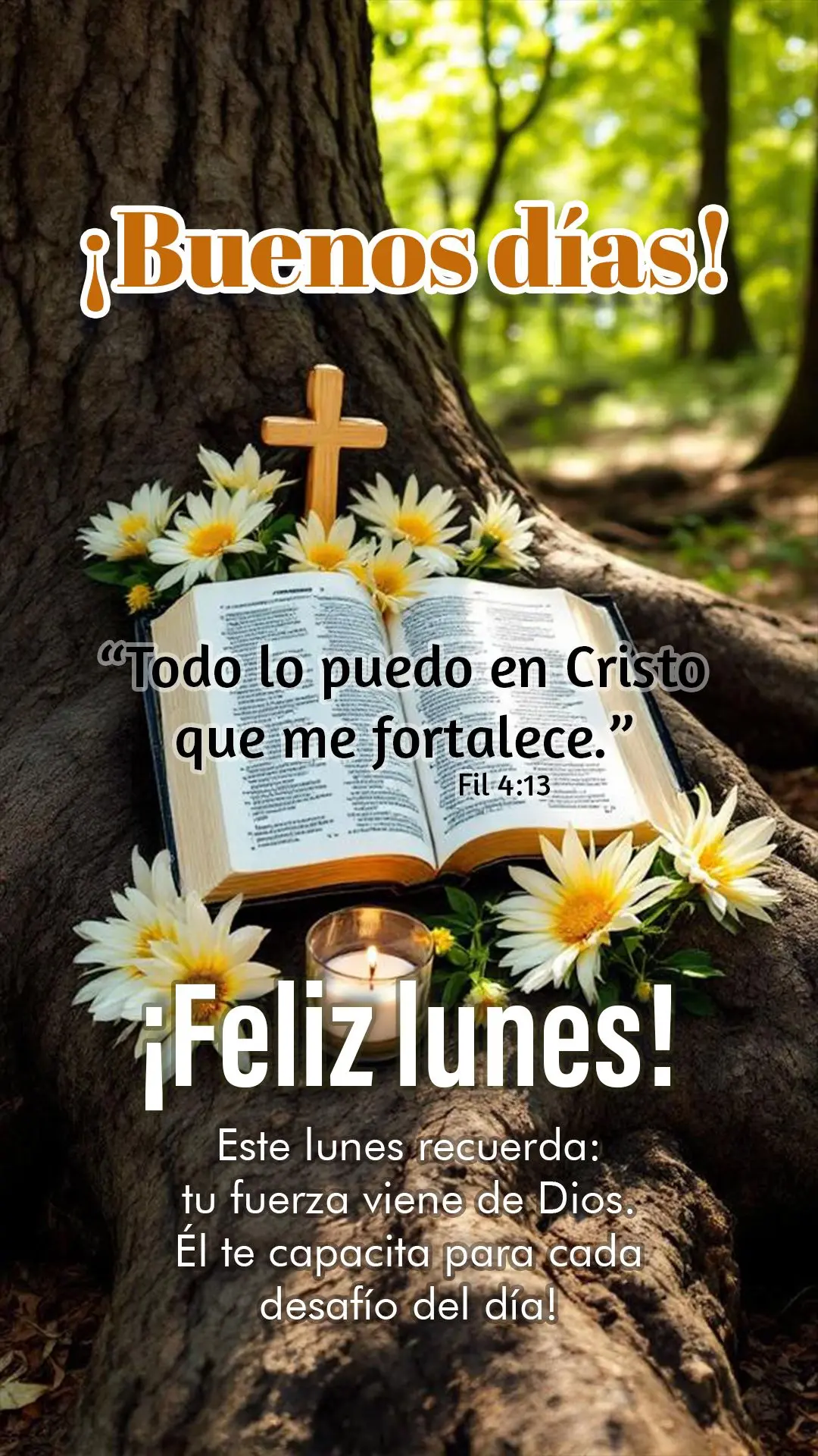 "Tudo posso naquele que me fortalece." Fp 4:13 💪✨
Nesta segunda-feira, lembre-se: sua força não vem de você, mas de Deus. Ele te capacita para ca...