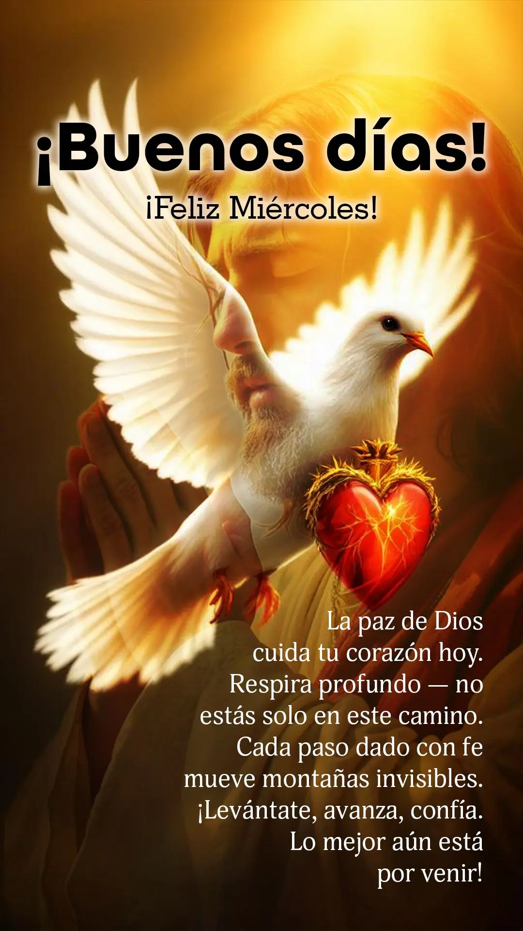 🌅 Bom dia, Quarta-Feira!
A paz de Deus guarda seu coração hoje.
Respira fundo — você não está sozinho nessa caminhada.
Cada passo dado com f...