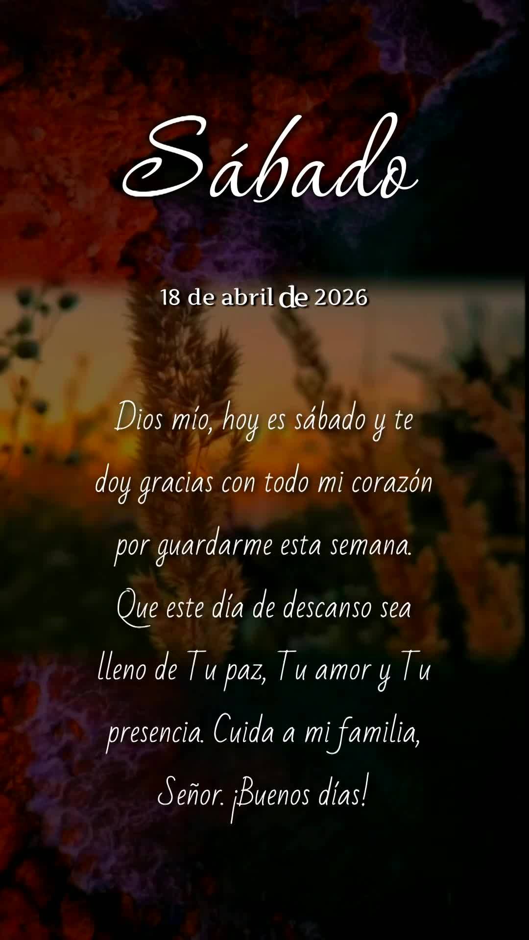Deus, hoje é sábado, meu pai, e meu coração transborda de gratidão. Obrigado por me sustentar durante toda essa semana. Que este dia de descanso ren...