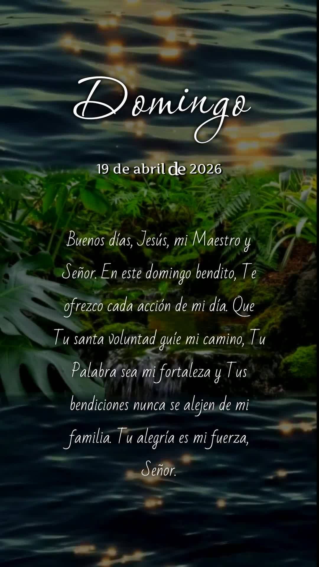 Bom dia, Jesus, meu Mestre e Senhor. Neste domingo abençoado, ofereço-Te todas as minhas ações. Que Tua santa vontade guie meus passos, que Tua Palav...