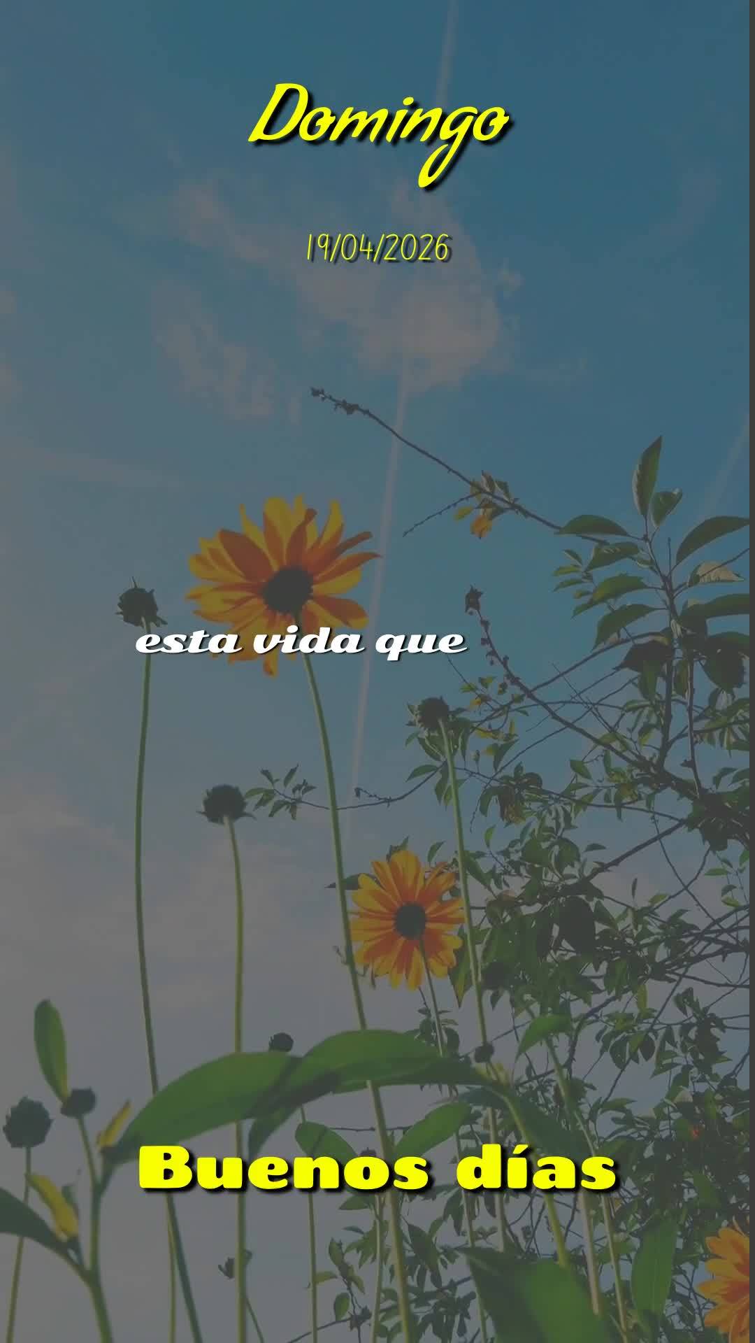 Bom dia, Jesus, meu Mestre e Senhor. Mais uma manhã de domingo começa, e meu coração se enche de gratidão. Hoje, neste dia dezenove de abril de dois...