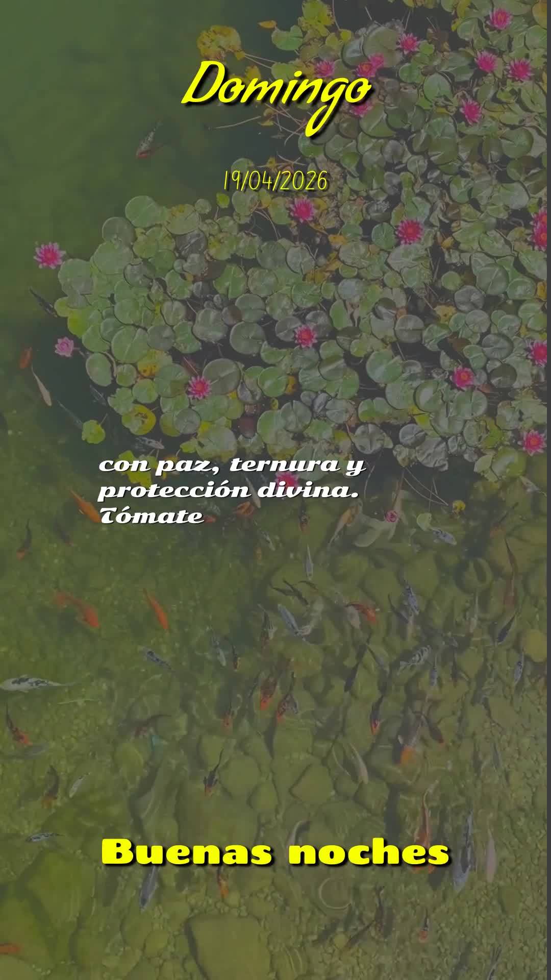 Boa noite! Que noite abençoada esta de domingo, 19 de abril de 2026. Que Deus abençoe este momento tão especial de descanso, renovando as suas forças...