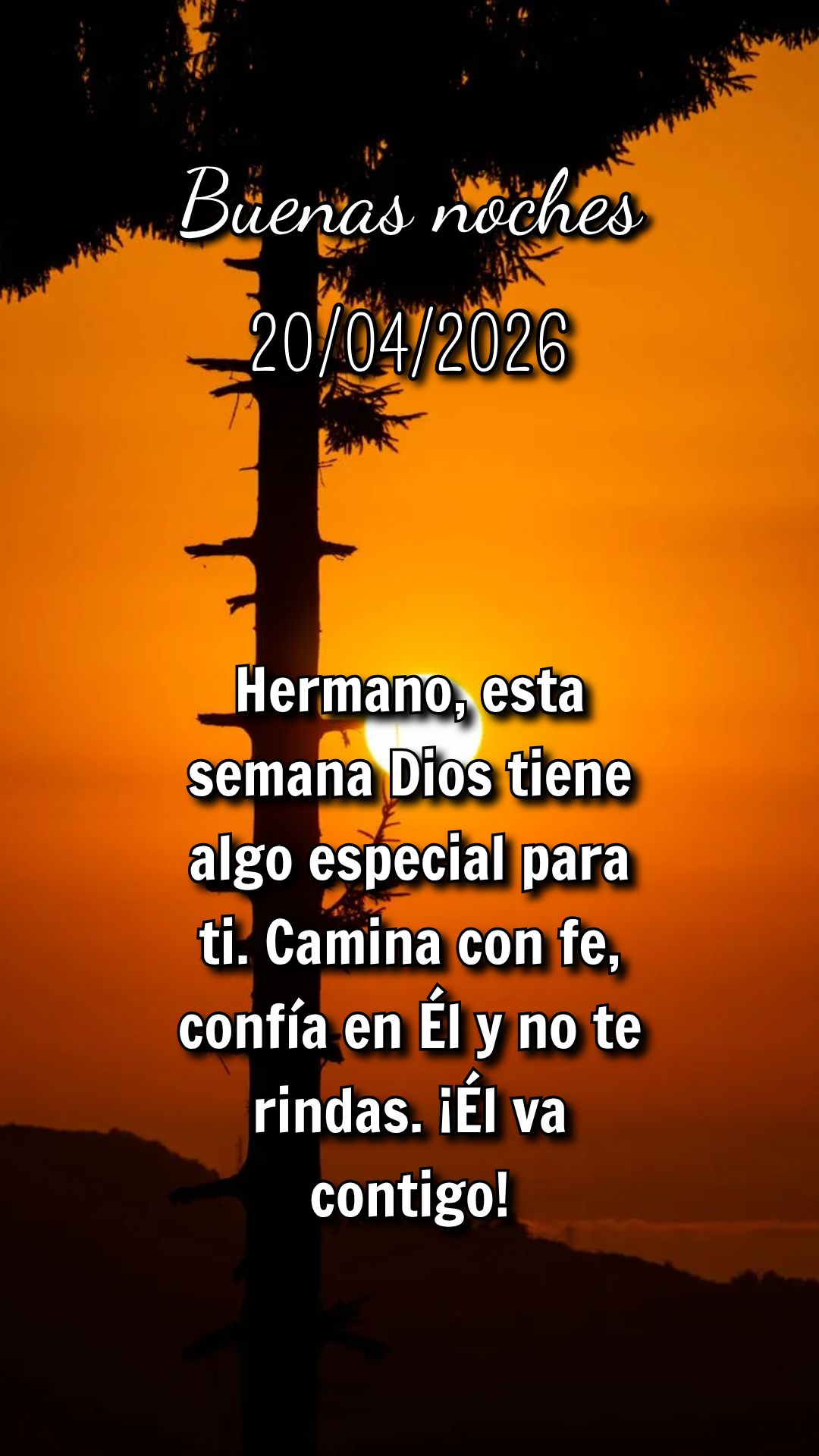 Amar ao próximo é a maior missão que Deus nos deu. Nesta semana, seja mãos, voz e coração de Jesus para quem precisa.