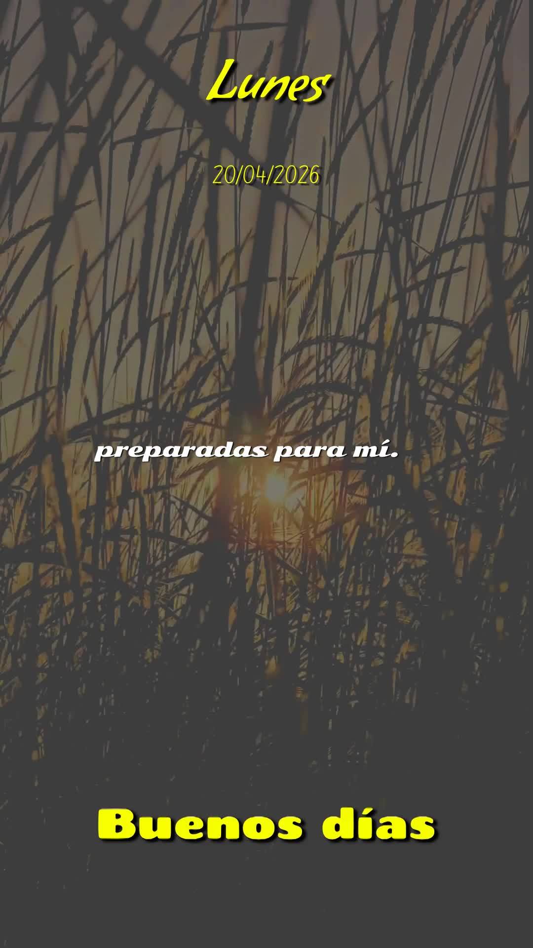 Deus, hoje é segunda-feira, meu pai, dia vinte de abril de dois mil e vinte e seis. Antes mesmo de dar meus primeiros passos neste novo dia, eu paro e t...