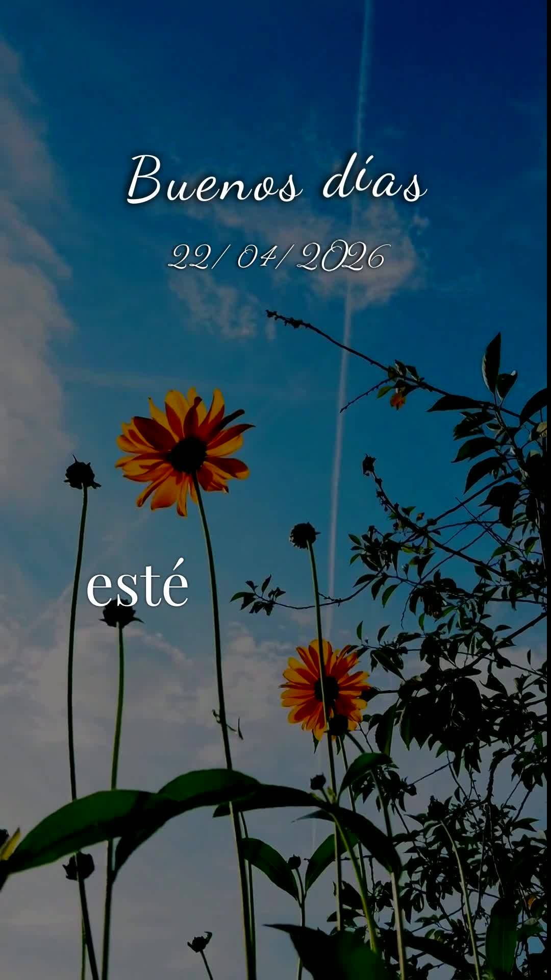 Bom dia, Jesus, meu Mestre e Senhor. Mais uma manhã começa, e nesta quarta-feira, 22 de abril de 2026, eu Te ofereço todas as minhas ações deste dia...