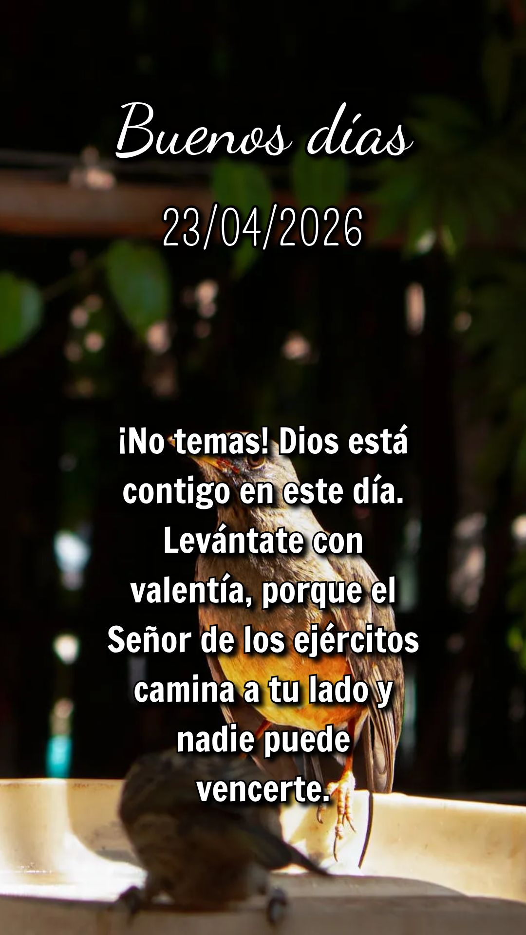 Cada quinta-feira é uma nova chance de confiar em Deus. Enfrente seus desafios com fé e coragem — Ele já está na sua frente abrindo caminhos!