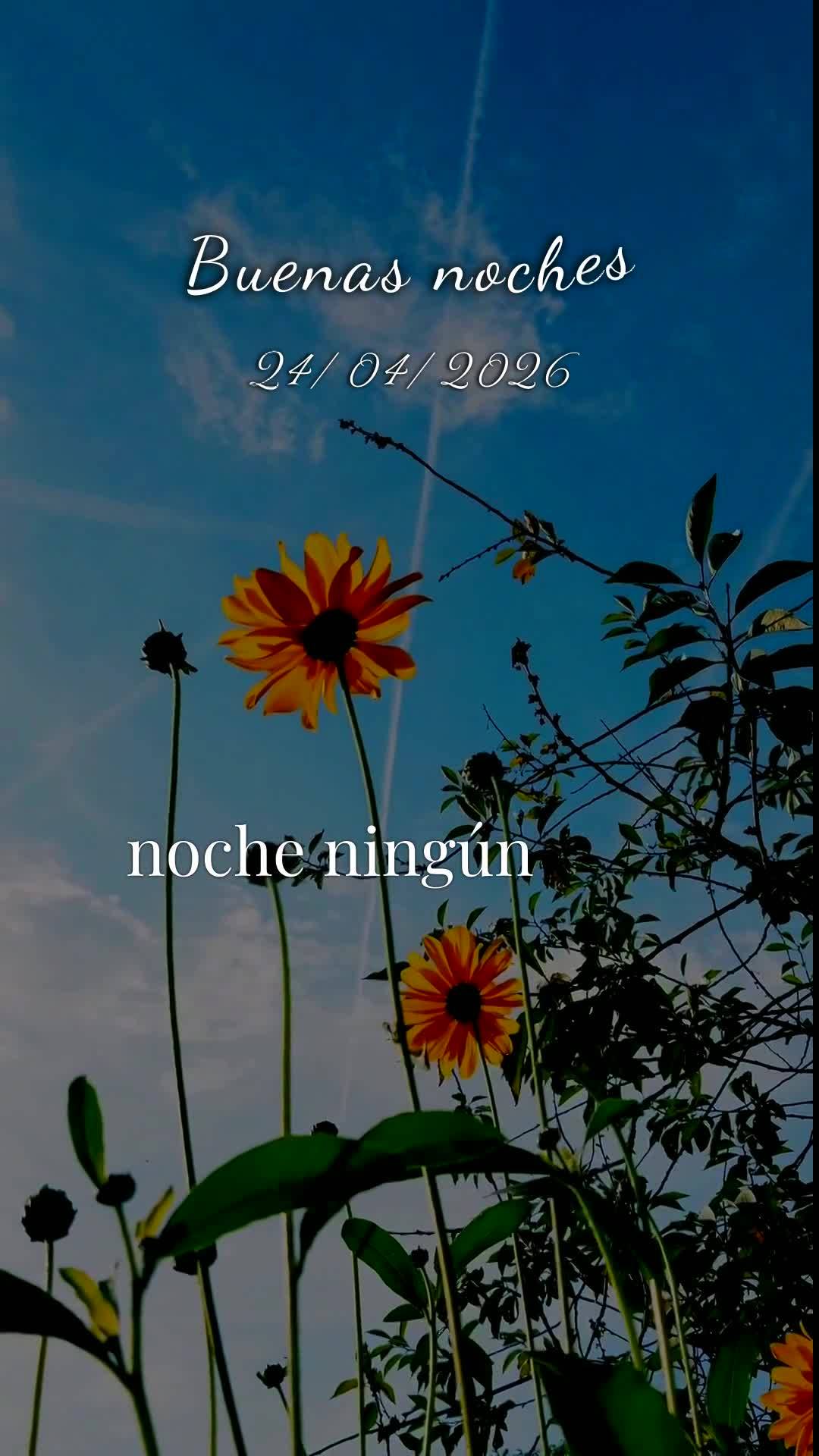 Boa noite. Que a bênção do Senhor te alcance agora, nesta sexta-feira, 24 de abril de 2026, onde quer que você esteja. A semana passou, e você chego...