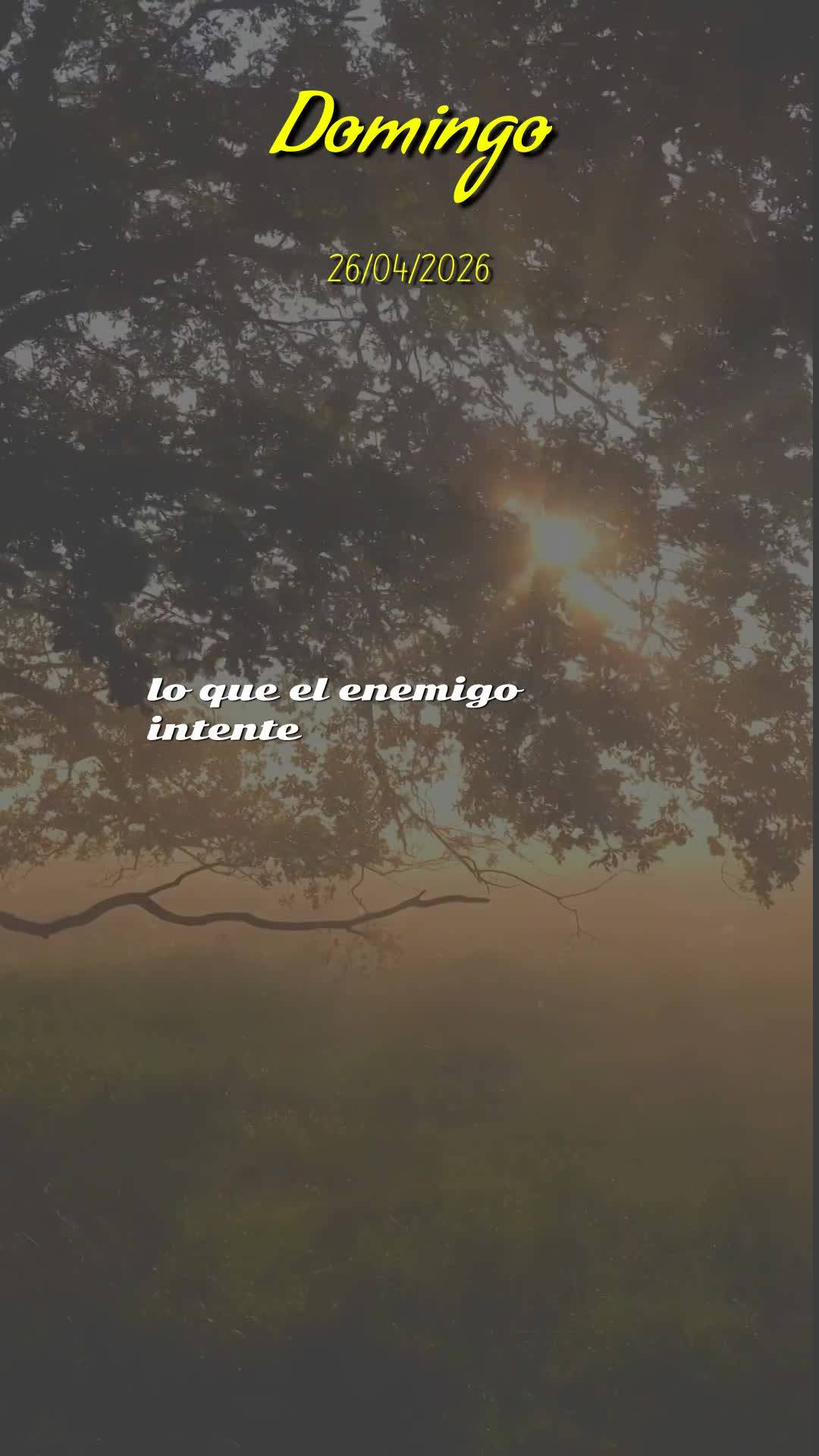 Bom dia! Que este domingo, 26 de abril de 2026, seja marcado pela presença poderosa do Senhor Jesus em sua vida. Que Ele caminhe ao seu lado como fiel d...