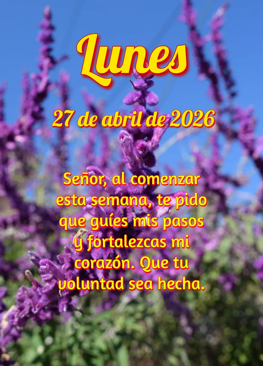 Você está começando uma nova semana e Deus já está na sua frente, abrindo caminhos. Confie nEle com tudo!
