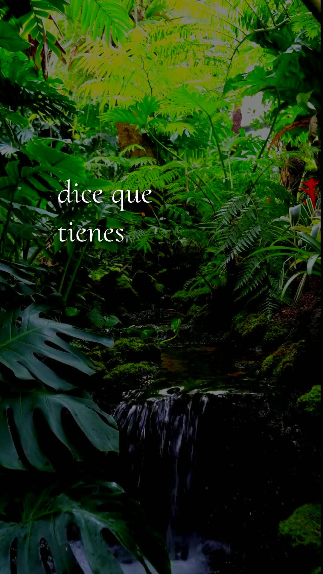 Deus, hoje é segunda-feira, meu pai, dia vinte e sete de abril de dois mil e vinte e seis. Bom dia! Antes mesmo de dar o primeiro passo neste novo dia, ...