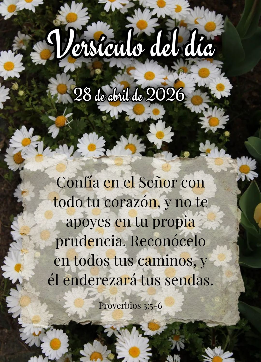 Confie no Senhor de todo o seu coração e não se apoie em seu próprio entendimento; reconheça-o em todos os seus caminhos, e ele endireitará as suas...