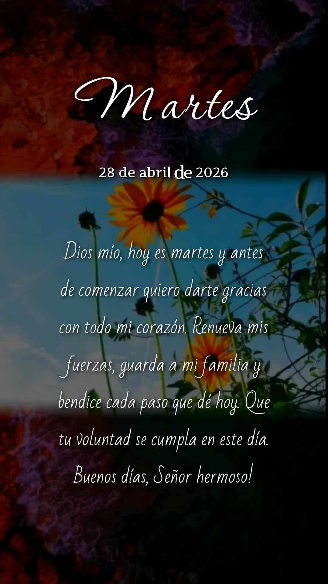 Deus, hoje é terça-feira, meu pai, e antes de dar qualquer passo neste dia quero te agradecer. Obrigado por renovar minhas forças e me despertar com p...