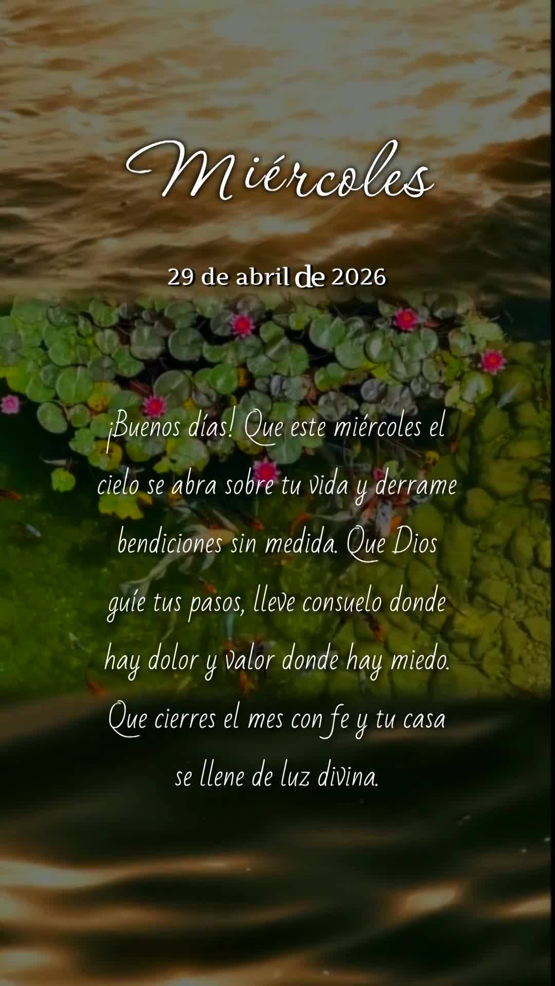 Bom dia! Que nesta quarta-feira o céu se abra sobre sua vida e derrame bênçãos sem medida. Que Deus guie seus passos, console suas dores e transforme...