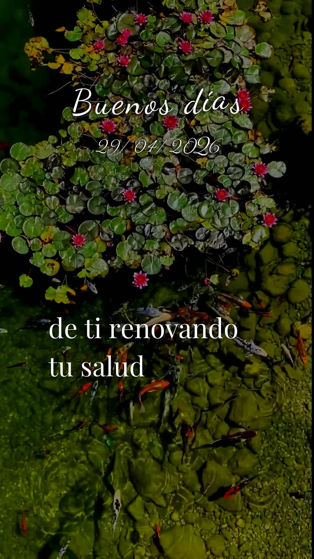 Bom dia! Nesta quarta-feira, 29 de Abril de 2026, enquanto Abril chega ao fim e um novo mês se aproxima, eu proclamo sobre a tua vida uma bênção pode...