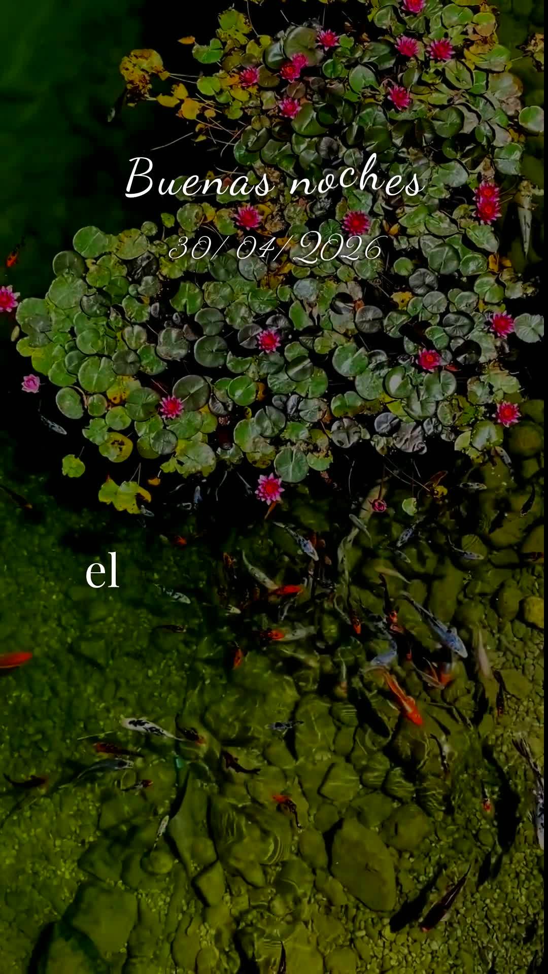 Boa noite, Senhor. Obrigado, meu Deus, por mais uma quinta-feira vencida. Tu me livraste de todo mal e me concedeste saúde e força para chegar até aqu...