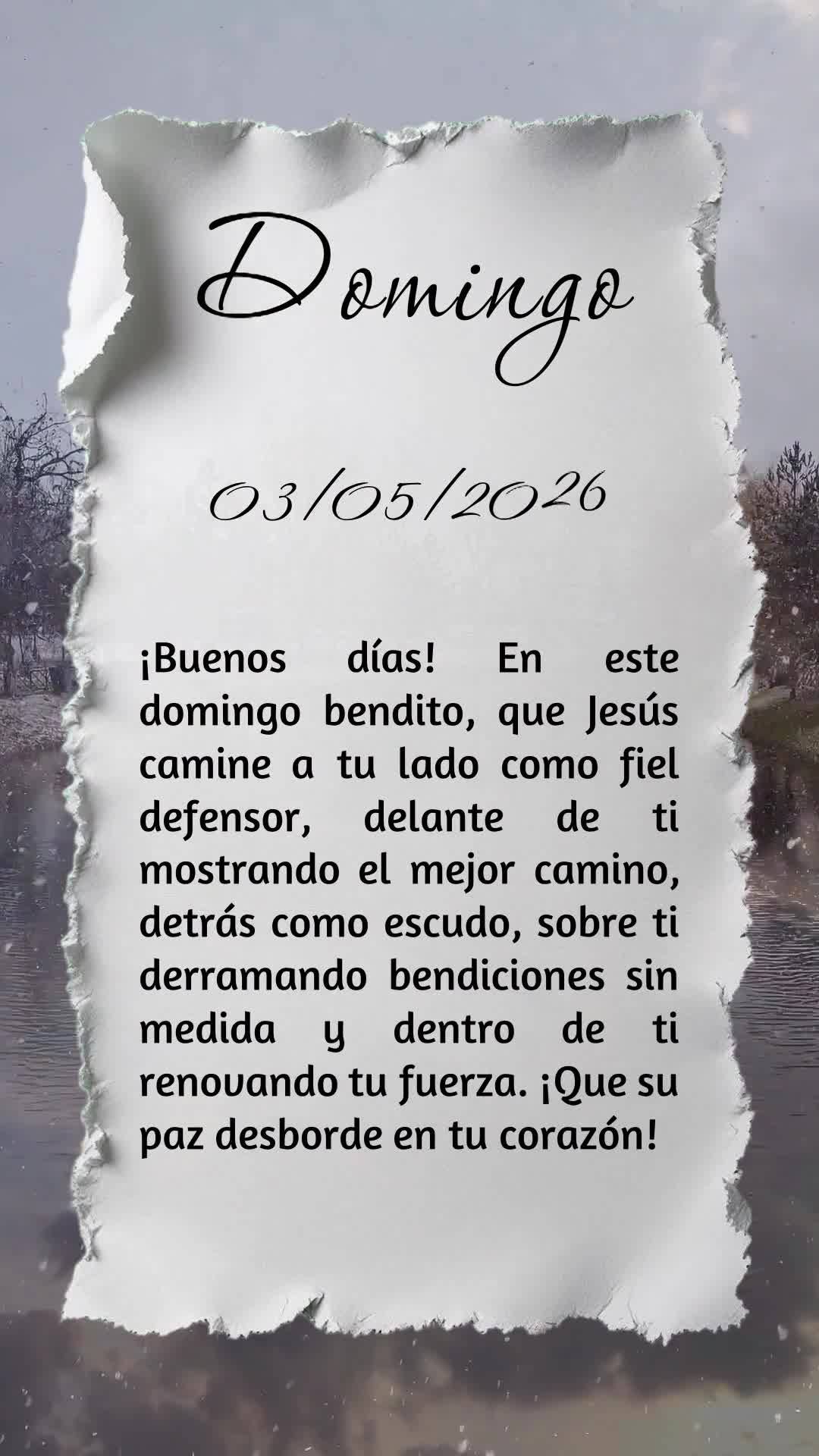 Bom dia! Neste domingo abençoado, que Jesus caminhe ao teu lado como fiel defensor, à tua frente abrindo os melhores caminhos, atrás de ti como escudo...
