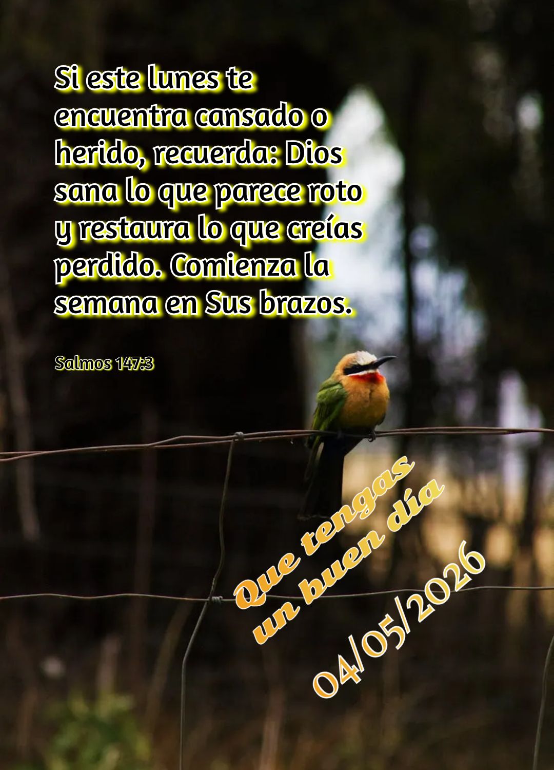 Obrigado, Senhor, por mais uma segunda-feira! Gratidão pelo fôlego de vida, pela família e pela nova semana que se abre diante de mim como presente Te...