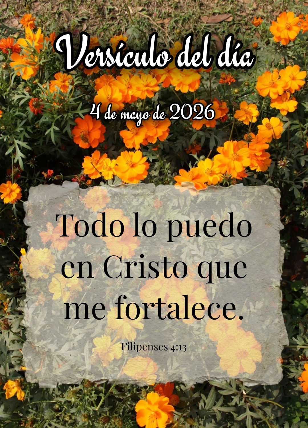 Posso todas as coisas naquele que me fortalece. Versículo do dia Filipenses 4:13