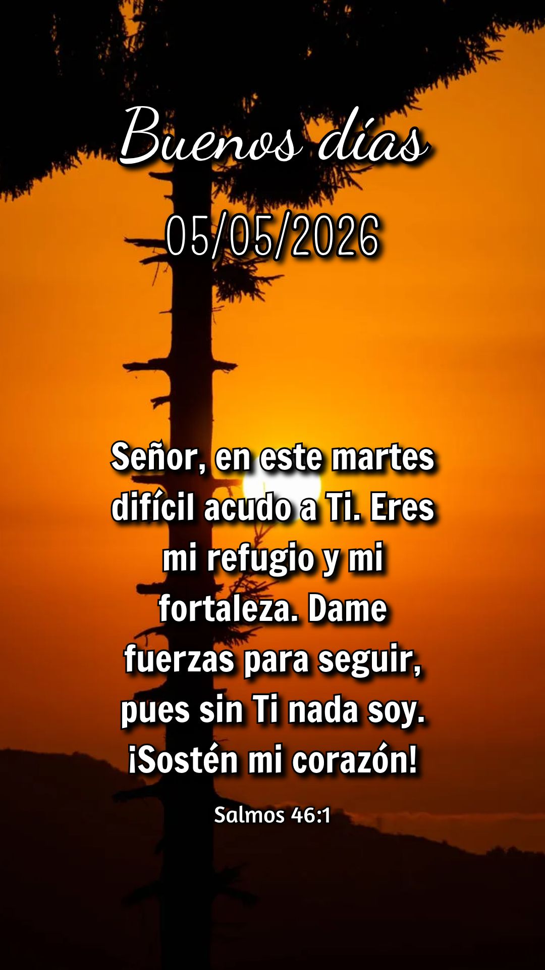 Obrigado, Senhor, por mais esta terça-feira! Pela vida que pulsa em mim, pelo ar que respiro e por Tuas bênçãos que renovam minha alma a cada manhã....