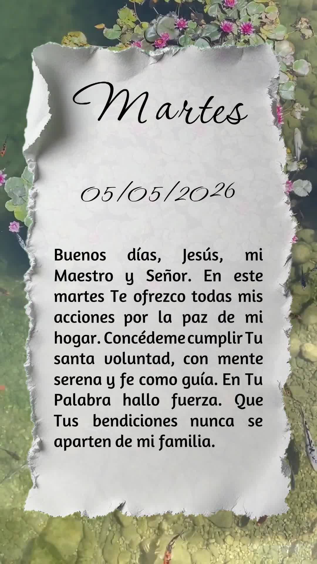 Bom dia, Jesus, meu Mestre e Senhor. Nesta terça-feira, ofereço-Te todas as minhas ações para a paz do meu lar. Concede-me cumprir Tua santa vontade,...