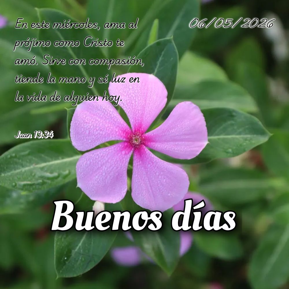 Nesta quarta-feira, não desanime no meio da caminhada. Deus renova suas forças e te capacita a vencer cada desafio com fé! Isaías 40:31
