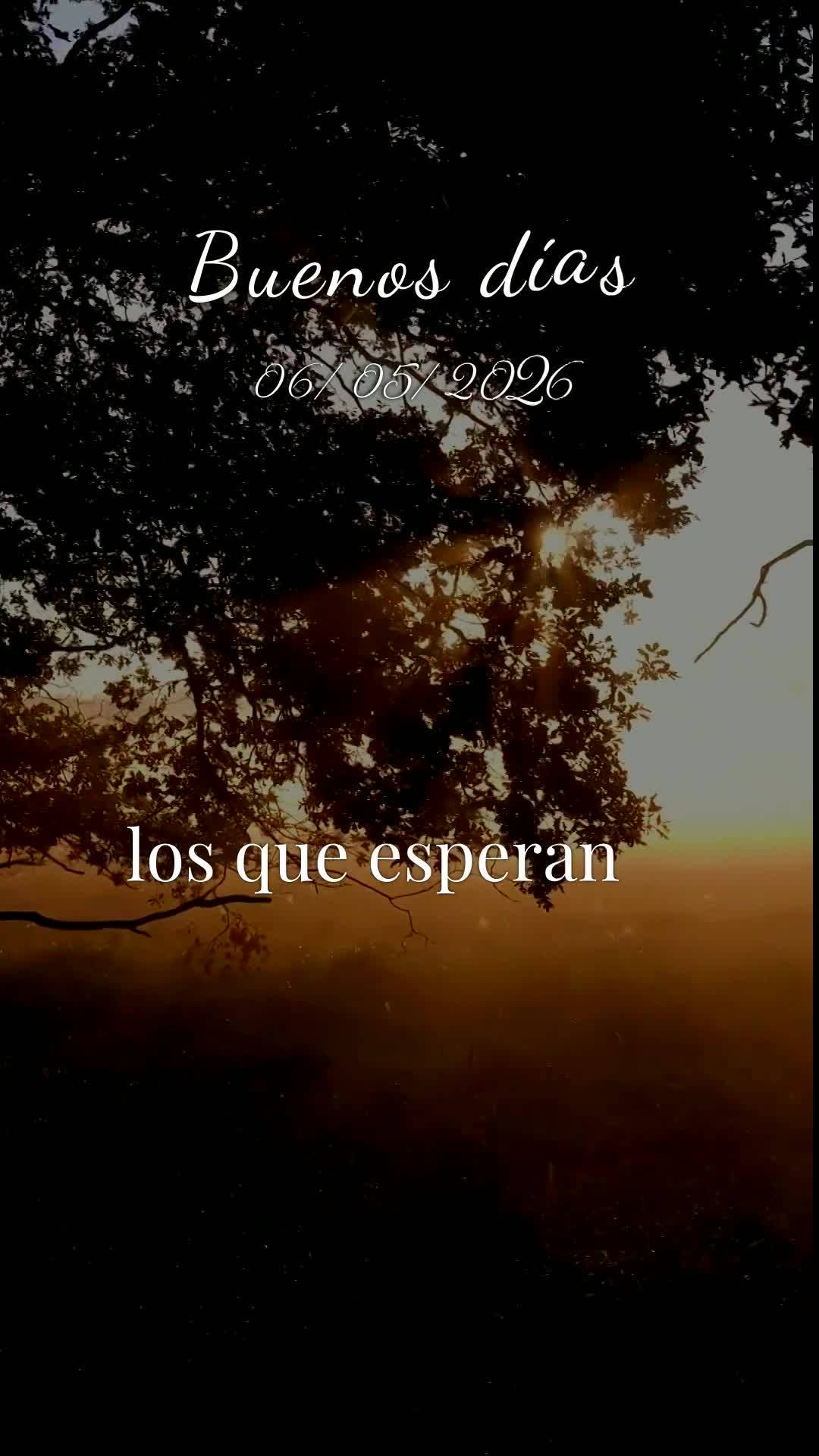 Bom dia, meu Deus. Hoje é quarta-feira, meu Pai, dia 6 de maio de 2026, e antes que o sol tome conta da minha janela, eu paro para te agradecer. Obrigad...