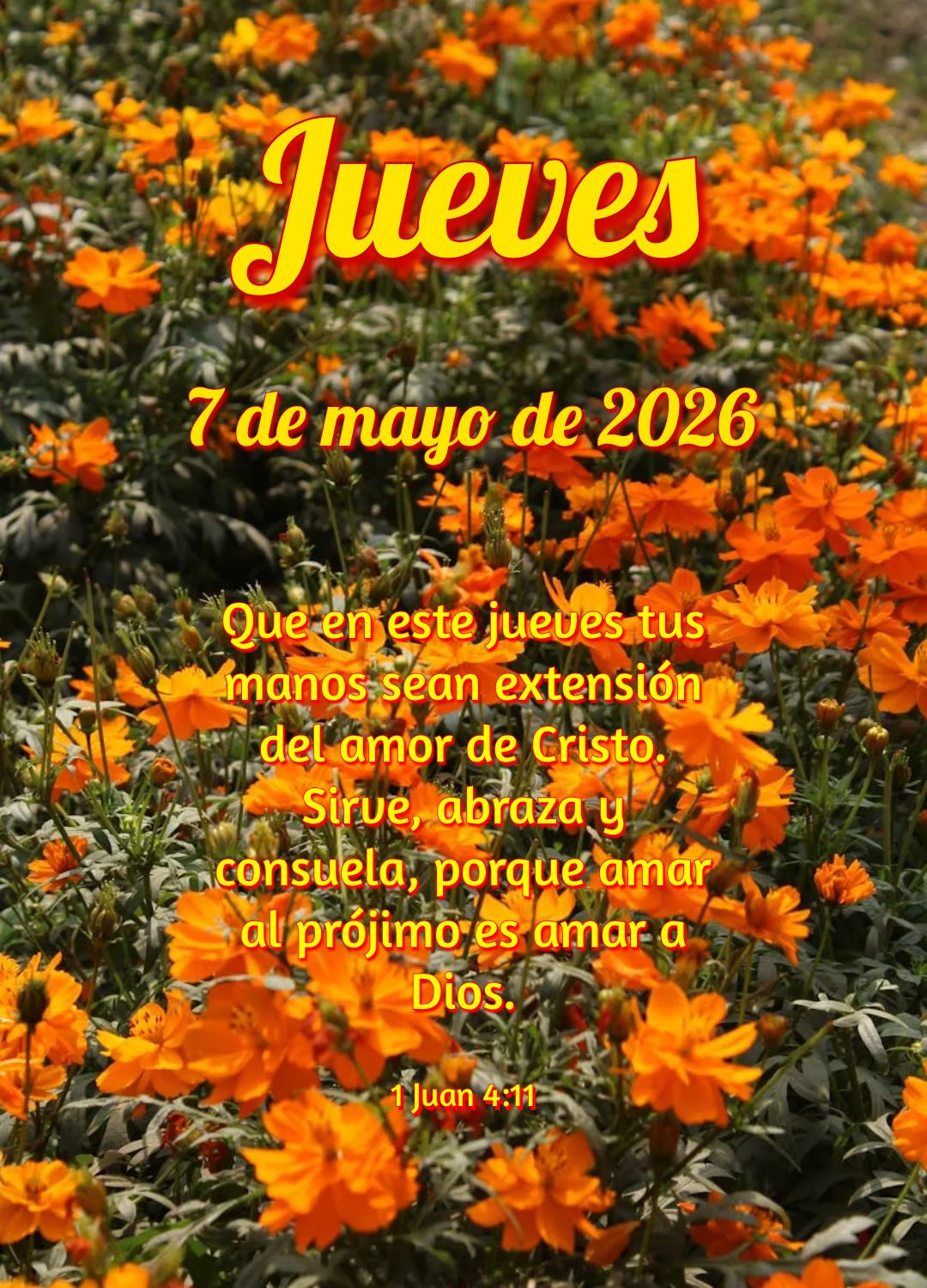 Senhor, Tu és digno de toda honra e glória! Nesta quinta-feira, minha alma se alegra em Tua presença e celebra Teu imenso amor. Salmos 145:3