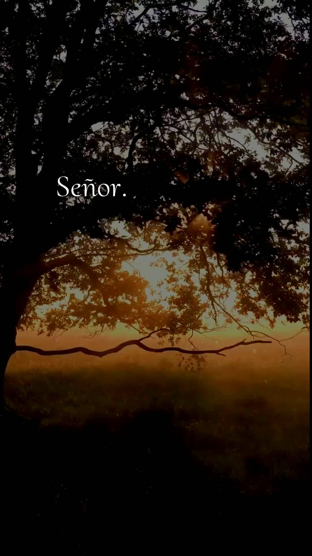 Bom dia! Nesta sexta-feira, 8 de Maio de 2026, eu declaro sobre a sua vida que o céu se abra e derrame bênçãos sem medida. Que cada passo seu hoje se...
