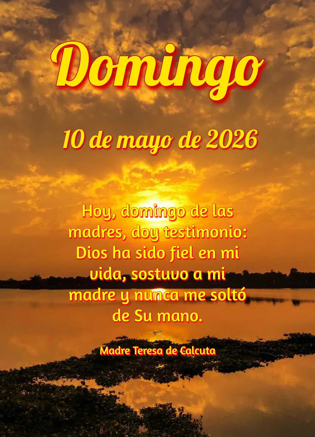 Neste domingo, dia do Senhor, meu coração transborda: obrigado, Pai, por minha mãe, minha família, minha saúde e por cada bênção vivida. Ana de J...