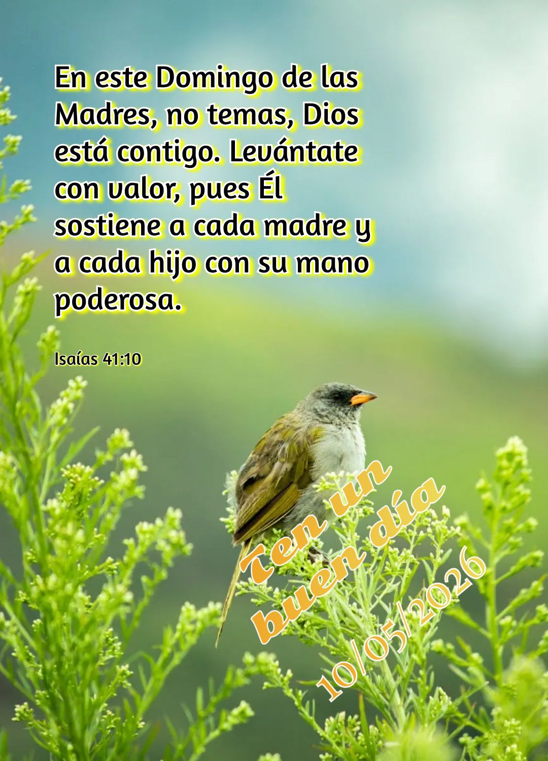Neste Domingo das Mães, sirvamos com amor como Cristo nos ensinou. Honrar nossas mães é refletir a compaixão de Deus em cada gesto de carinho. Tenha ...