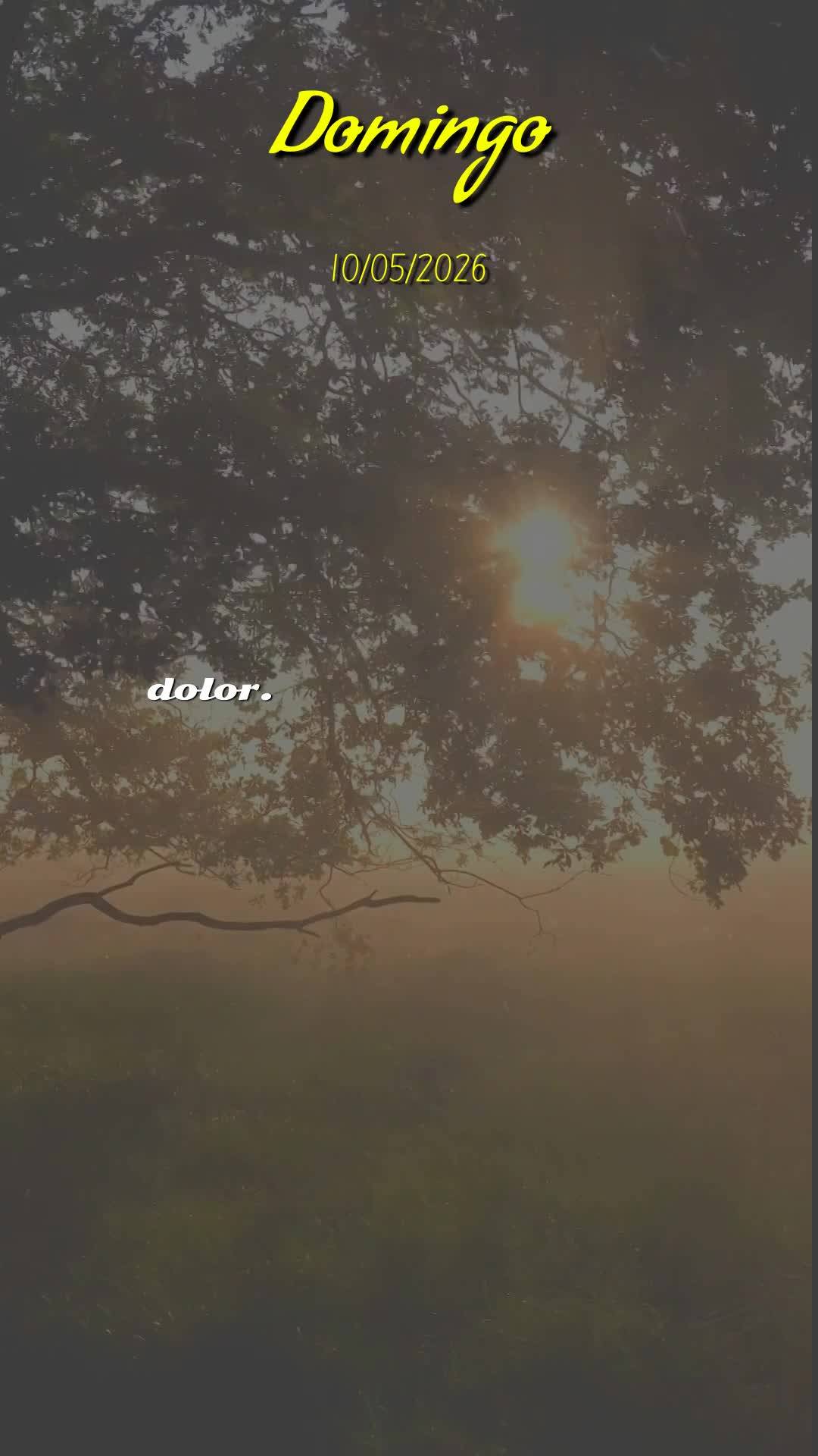 Deus, bom dia. Antes de qualquer coisa, obrigado por abrir meus olhos neste Domingo, 10 de Maio de 2026, e me presentear com mais um amanhecer. Hoje é D...