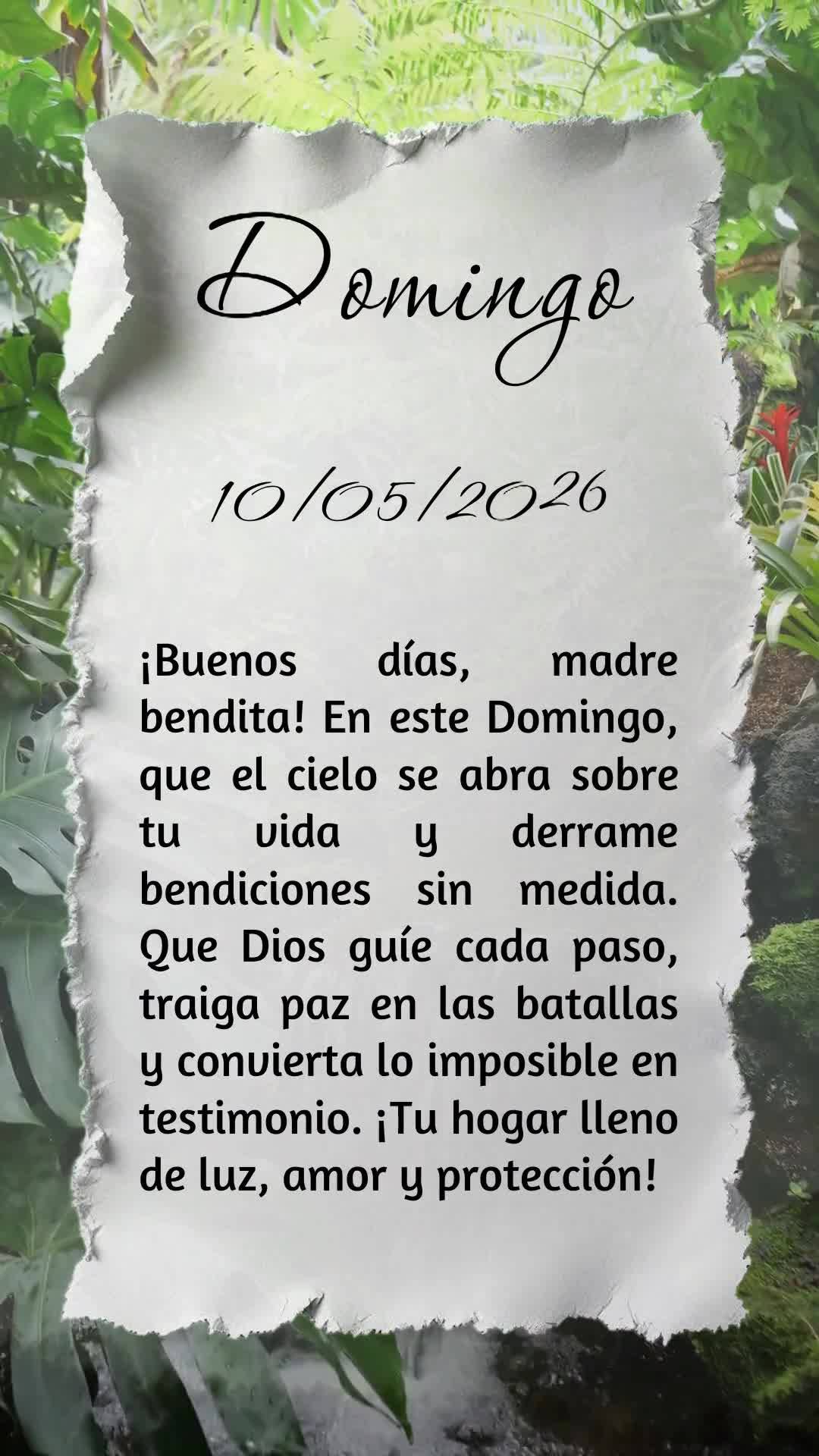 Bom dia, mãe abençoada! Neste Domingo especial, que o céu se abra sobre sua vida e derrame bênçãos sem medida. Que Deus guie cada passo seu, traga ...